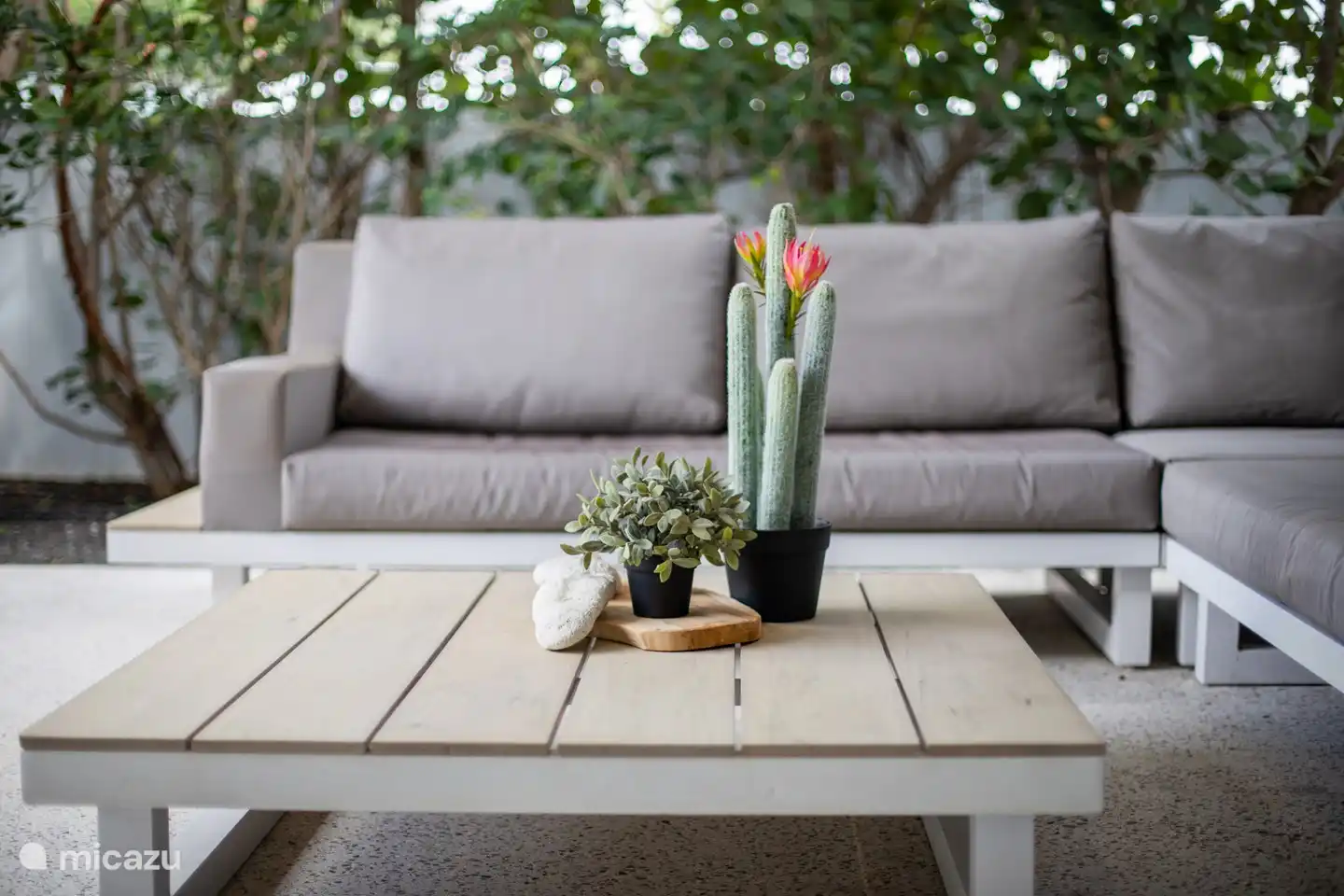 Gros plan sur le salon