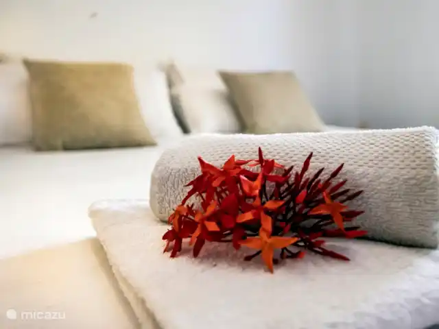 Chicos Seru Hulanda Resort en Curazao, Curazao Centro, Abrahamsz - apartamento Su cama está hecha a su llegada.