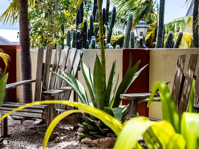 Chicos Seru Hulanda Resort en Curazao, Curazao Centro, Abrahamsz - apartamento Las plantas tropicales también están presentes.