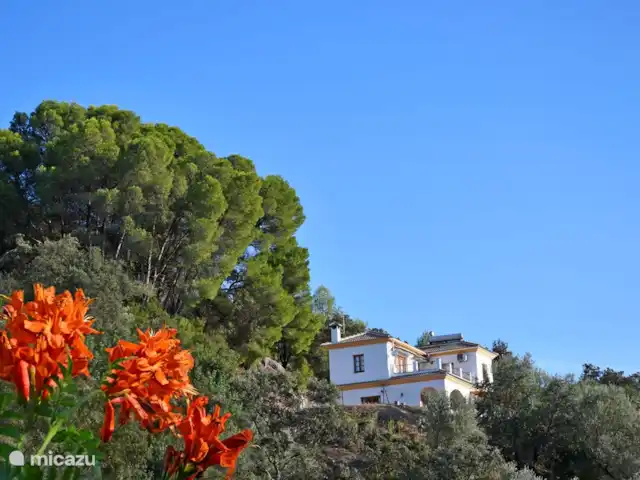 Villa Los Pinos huren in Spanje, Costa del Sol, Comares - villa Volledig privé!