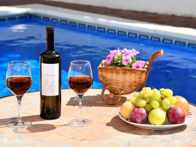Villa Los Pinos huren in Spanje, Costa del Sol, Comares - villa Je vakantie begint nu!