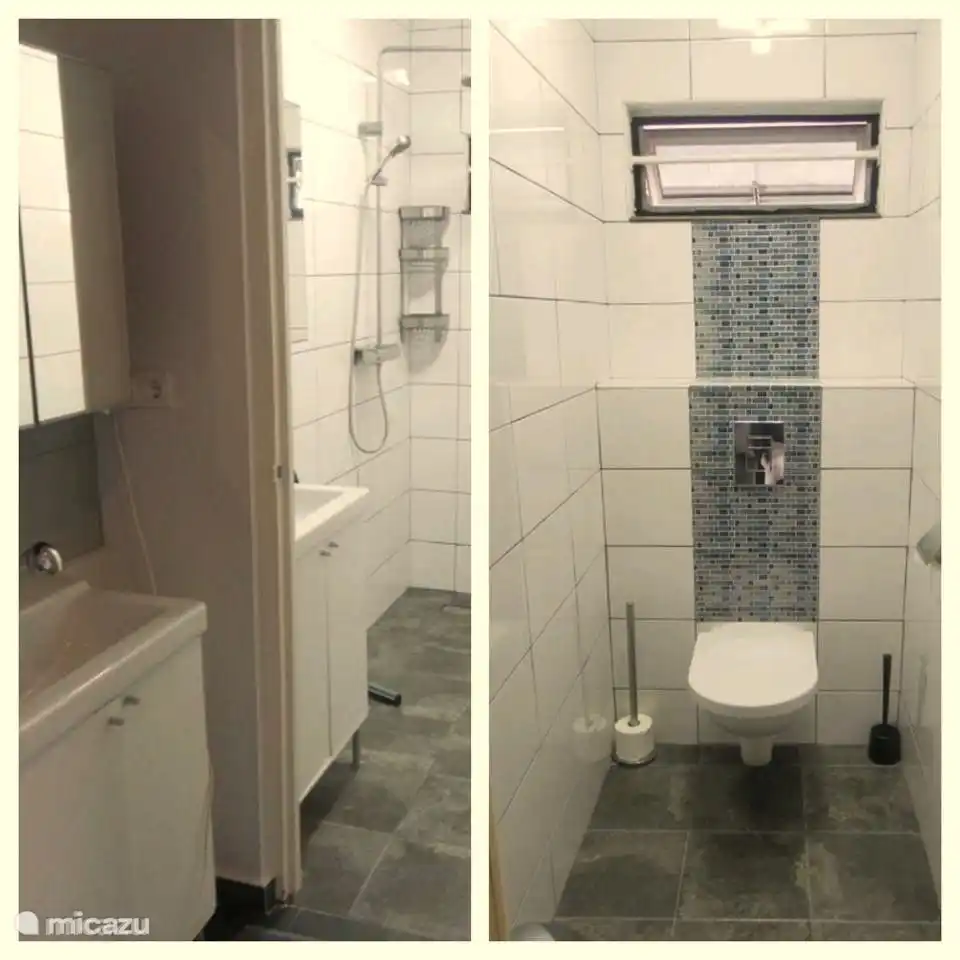 General shower and toilet