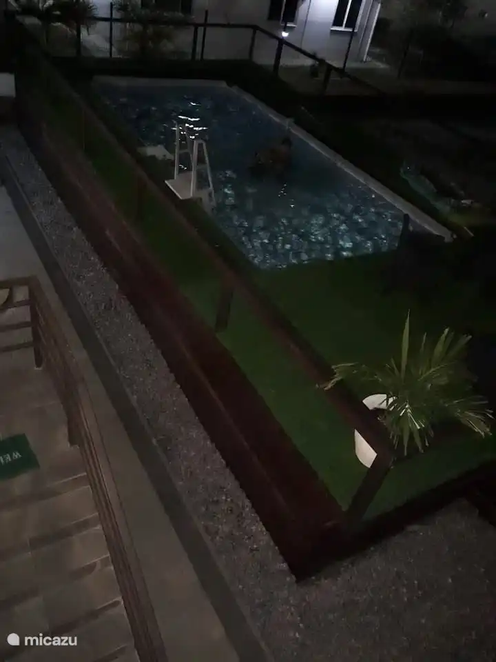 swimming in the evening