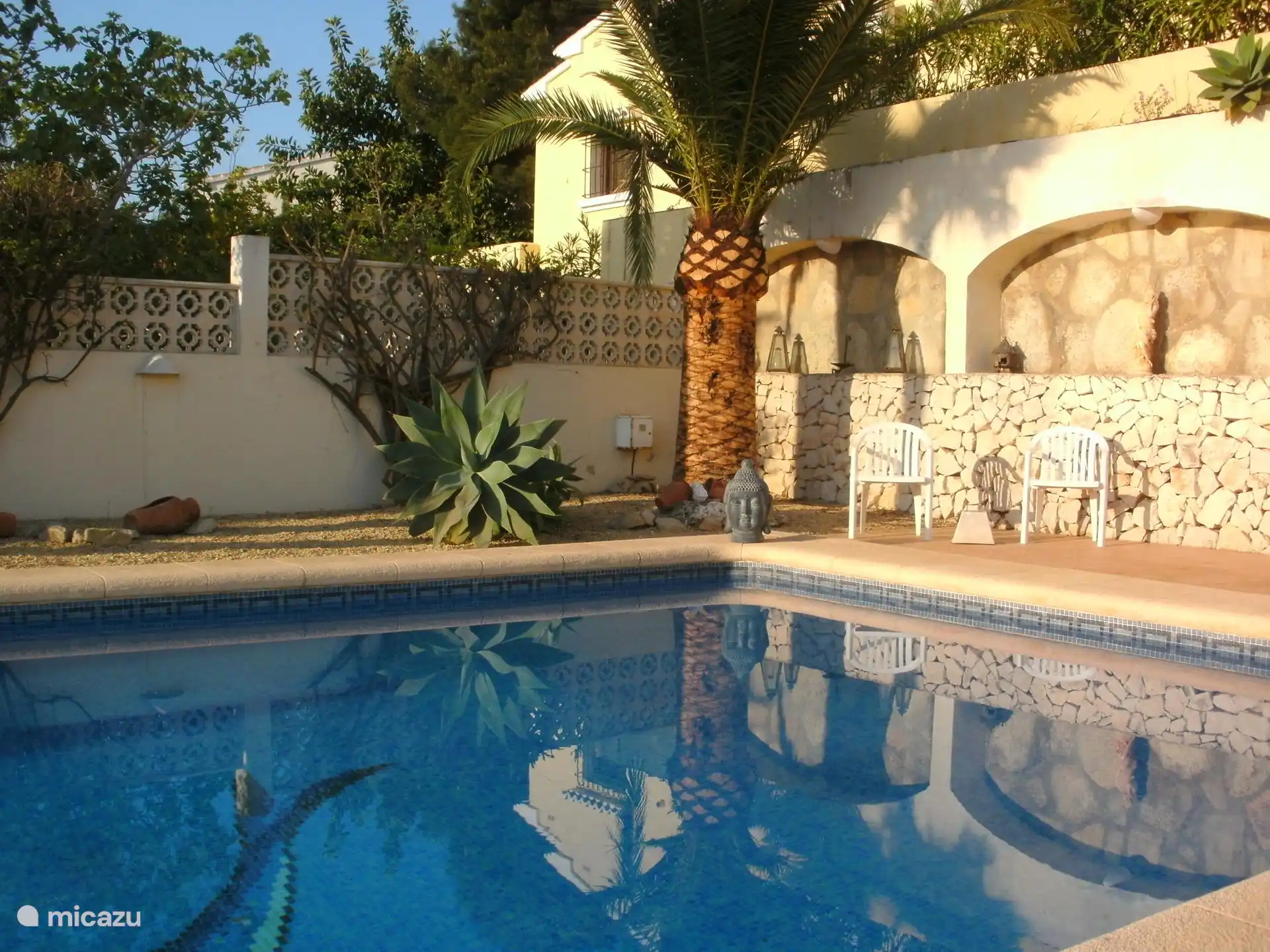 Corner of terrace, pool and palm tree