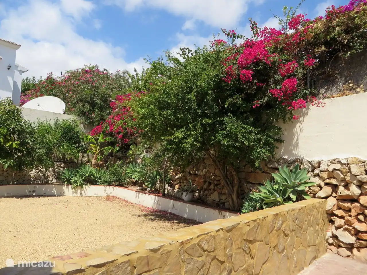 Jardin derrière la maison