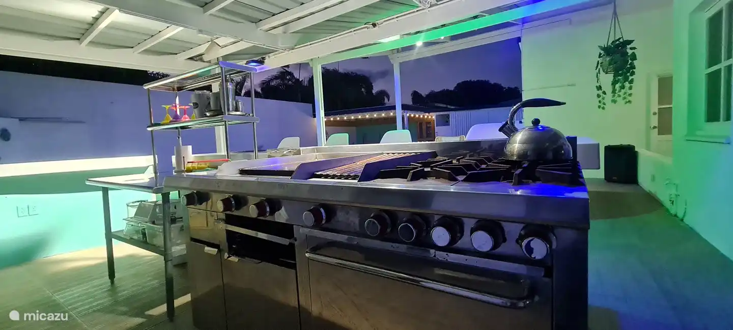 Grill, Stew, Fryer, all in one.