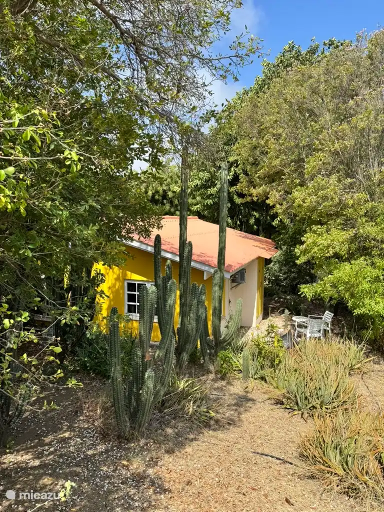 Casa Häffert in Curaçao, Banda Ariba (Ost), Seru Coral - Ferienhaus