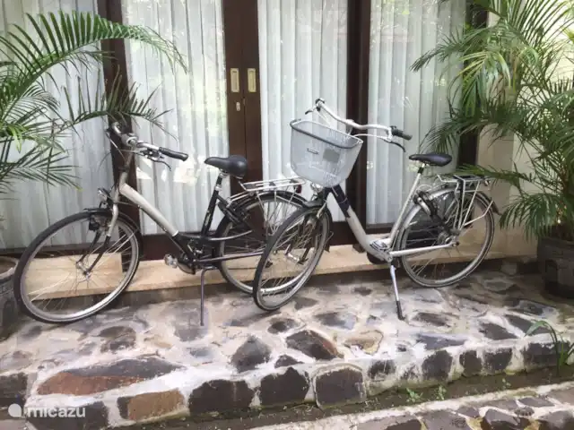 Vakantiehuis-Bali huren in Indonesië, Bali, Sanur - appartement Inclusief 2 Nederlandse fietsen.
