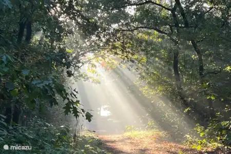 MARCHER DANS LA NATURE