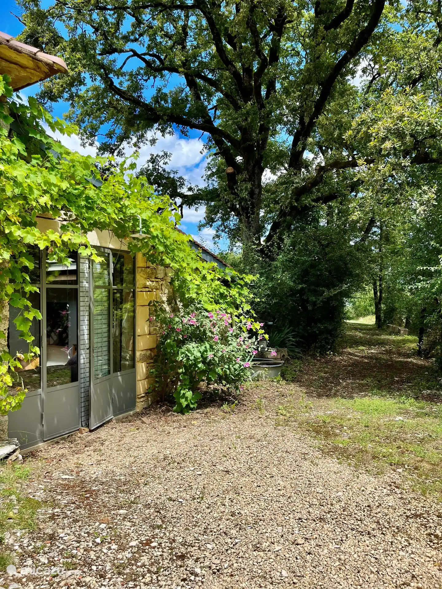 vanuit de slaapkamer zo het privé wandelpad op.