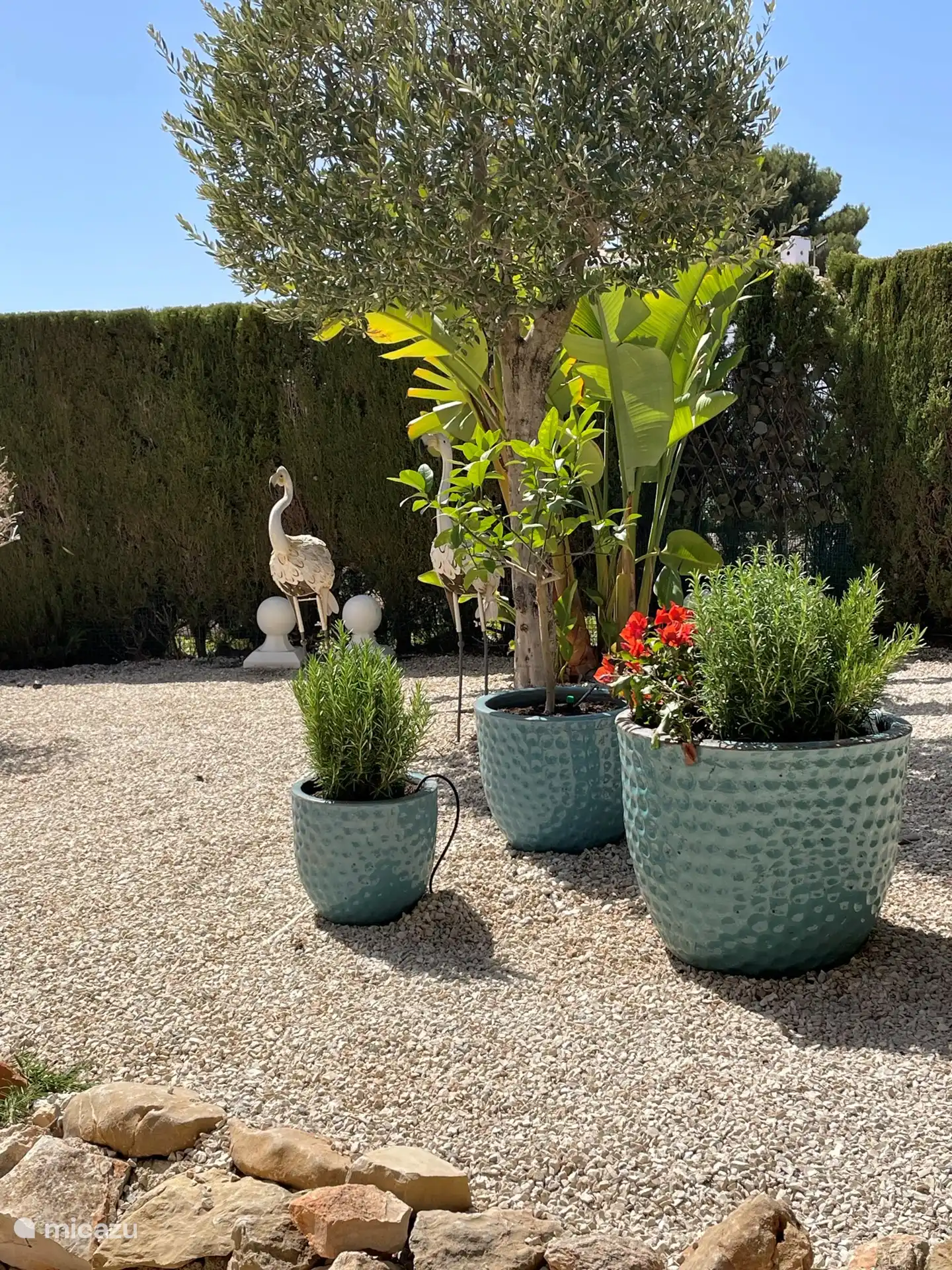 Garden with herbs and fruit trees. Our garden has something for everyone.