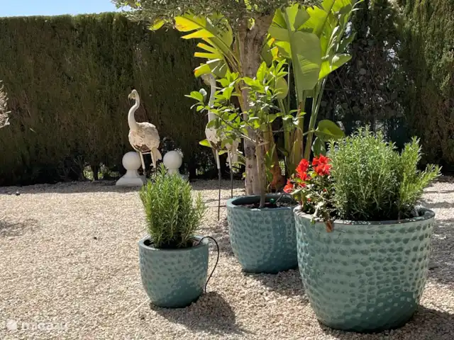 CasaSolymar en España, Costa Blanca, Moraira - villa Jardín con hierbas y árboles frutales. Nuestro jardín tiene algo para todos.