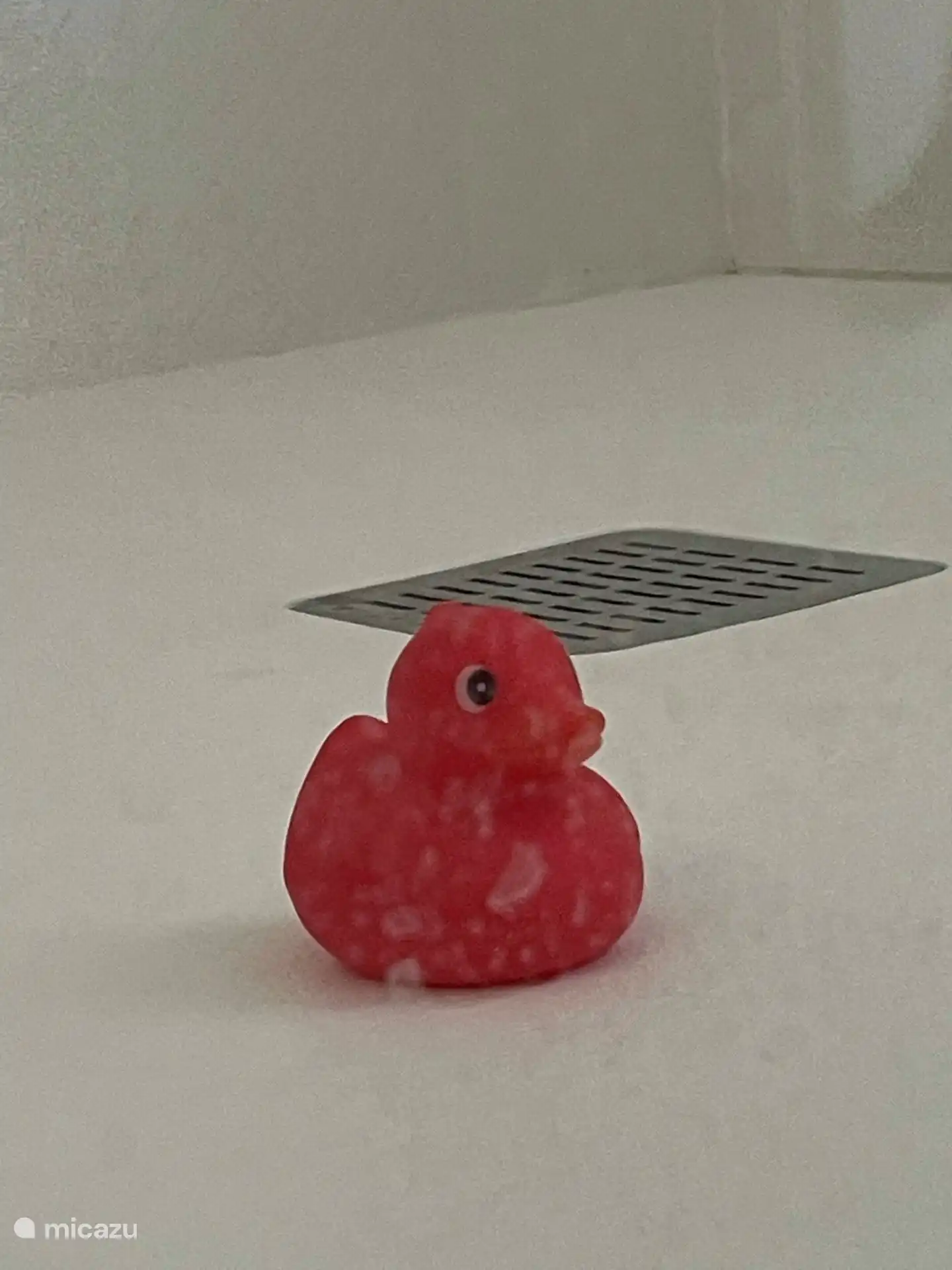 The bath is already waiting.