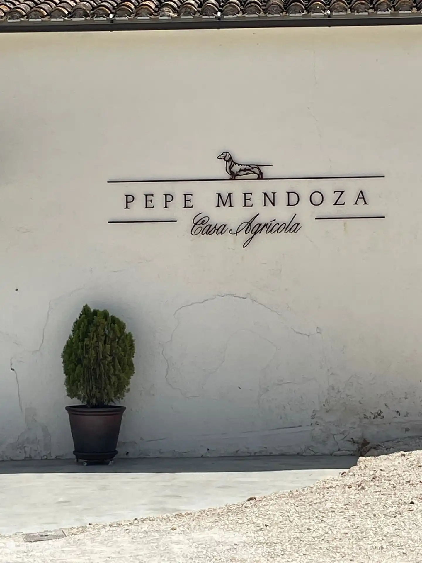 In Jalon you can visit the bodega of Pepe Mendoza. Highly recommended :-)
