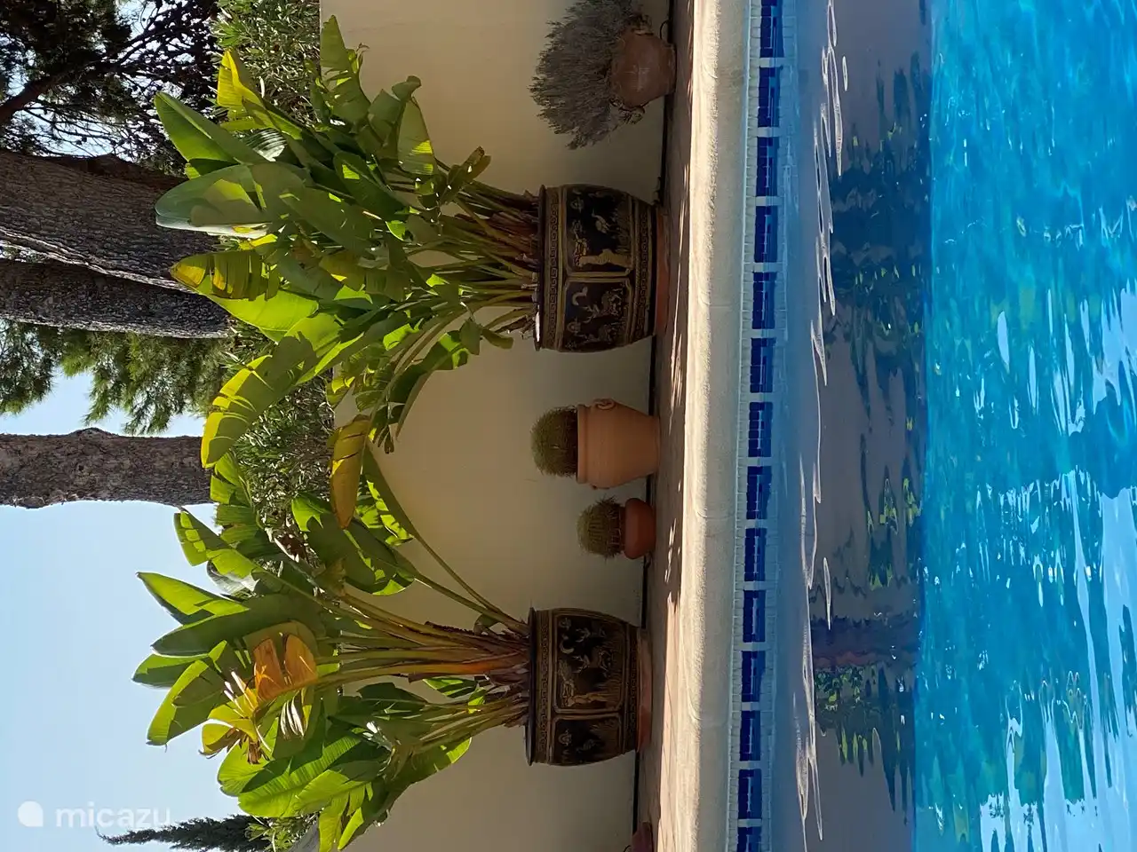 Terrace around the pool. Sun loungers, umbrellas and towels are ready for you.