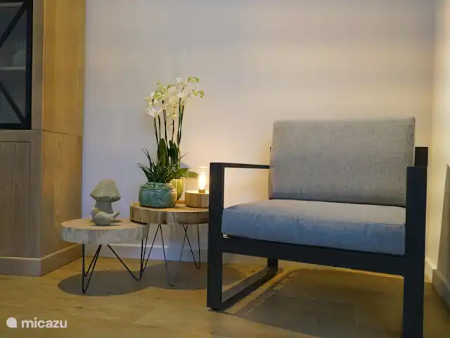 Maison Maxine | Belgique, Côte Belge, Nieuwpoort - maison de vacances