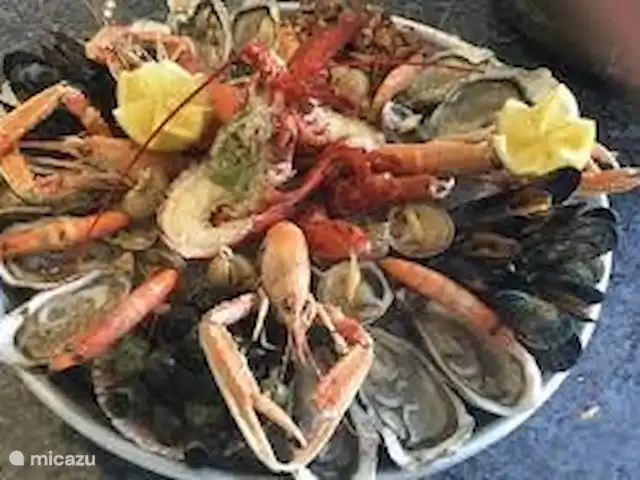 Maison Maxine | Belgique, Côte Belge, Nieuwpoort - maison de vacances