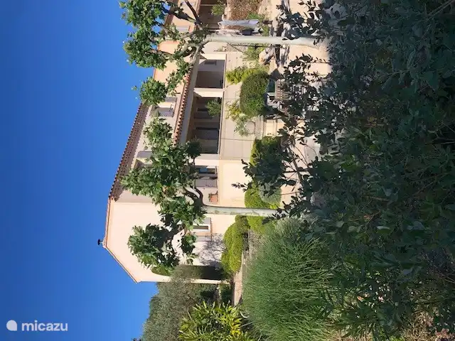 Rückseite des Hauses