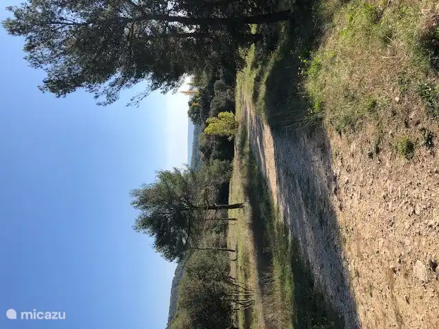 Weg vom Park ins Naturschutzgebiet