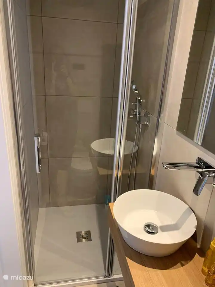 Badkamer 2 met inloopdouche en toilet.