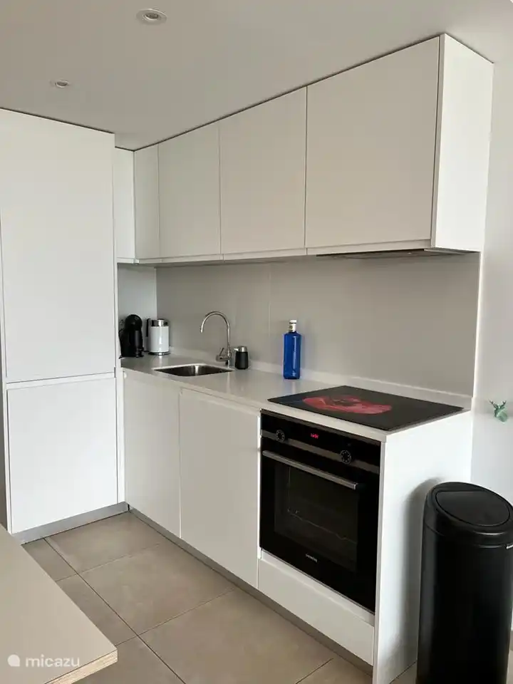 Open keuken voorzien van koel/vries combinatie, vaatwasser, oven, inductieplaat, dolce gusto koffiezetapparaat, waterkoker. Links op de foto achter de deur bevindt zich de wasruimte met wasmachine. 
