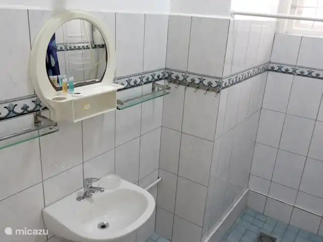 Villa Dushi Bida avec vue sur la mer ! | Curaçao, Curaçao-Centre, Piscadera - villa La salle de bain soignée a une toilette, un lavabo et une douche.
