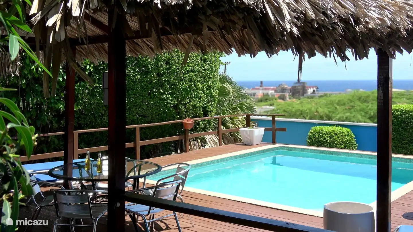 La piscine et la terrasse offrent une vue sur l'océan.