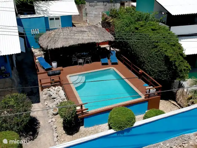Villa Dushi Bida avec vue sur la mer ! | Curaçao, Curaçao-Centre, Piscadera - villa Vue sur la piscine, la terrasse et le jardin de devant.