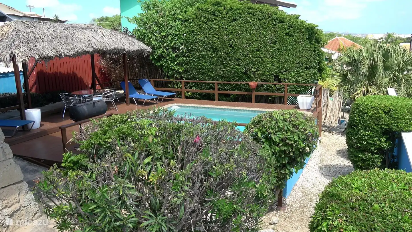 Le jardin de devant a beaucoup de verdure qui offre de l'intimité et donc on voit parfois passer un iguane