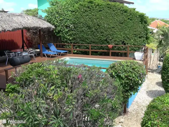 Villa Dushi Bida avec vue sur la mer ! | Curaçao, Curaçao-Centre, Piscadera - villa Le jardin de devant a beaucoup de verdure qui offre de l'intimité et donc on voit parfois passer un iguane