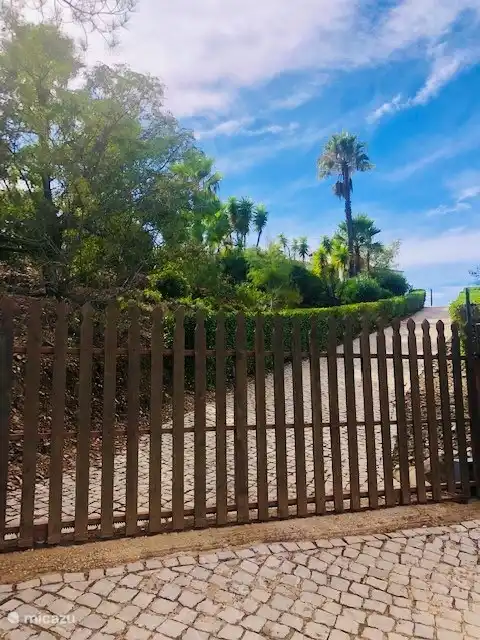 Villa A Vida in Portugal, Algarve, Santa Catarina da Fonte do Bispo - Ferienhaus