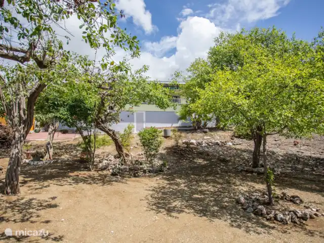 Station balnéaire de la baie de Piscadera 39 | Curaçao, Curaçao-Centre, Piscadera - bungalow Vue du jardin