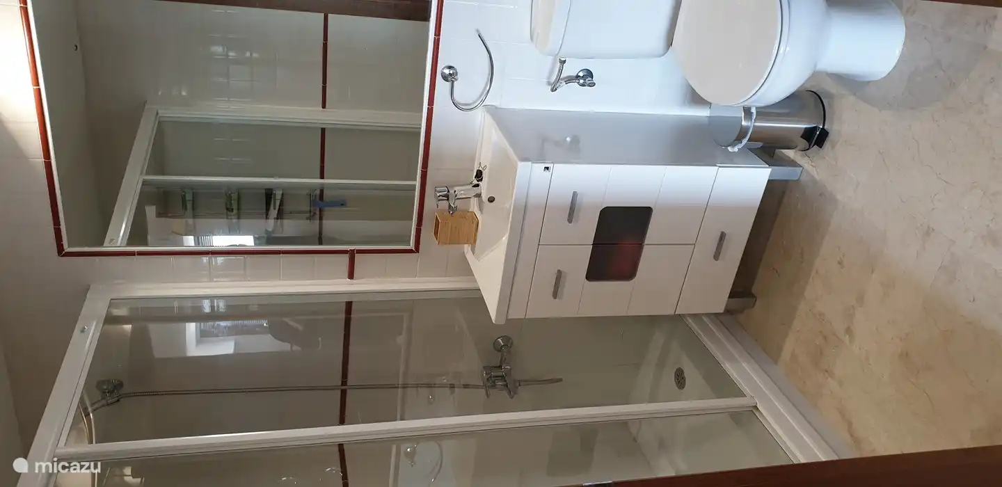 Salle de bain 1 avec toilettes, lavabo et douche à l’italienne.