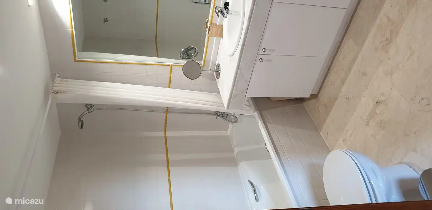 Baignoire avec douche, WC et lavabo.