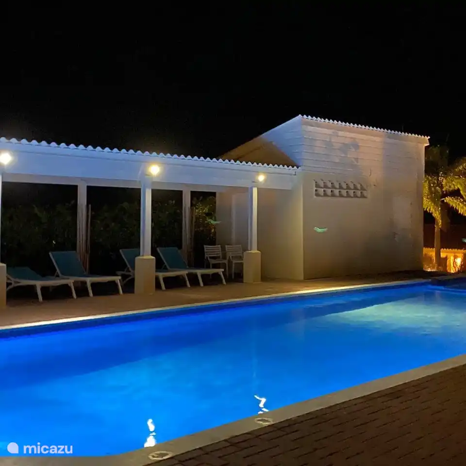 en la luz de la tarde