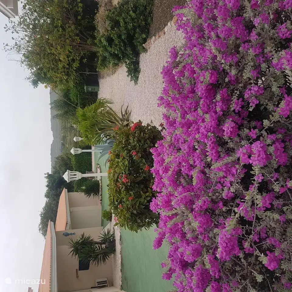 Hermoso jardín, con Cottage Kas Huki en la parte de atrás.