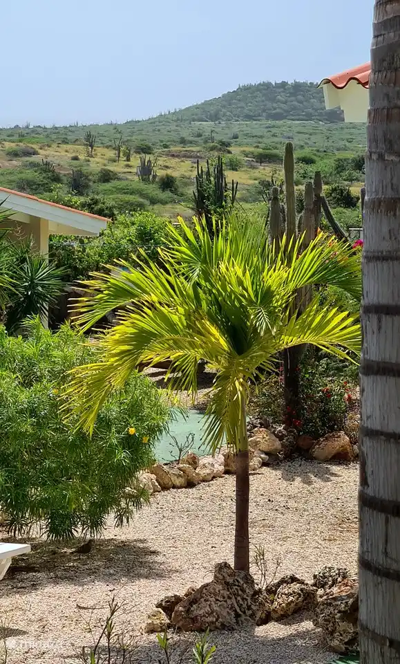 hermosas plantas en todas partes