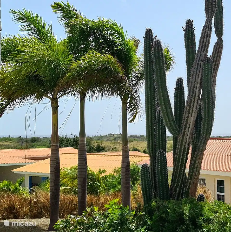 Vista desde la piscina (punto más alto)