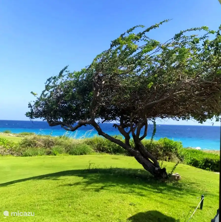 Vistas al mar Santa Bárbara