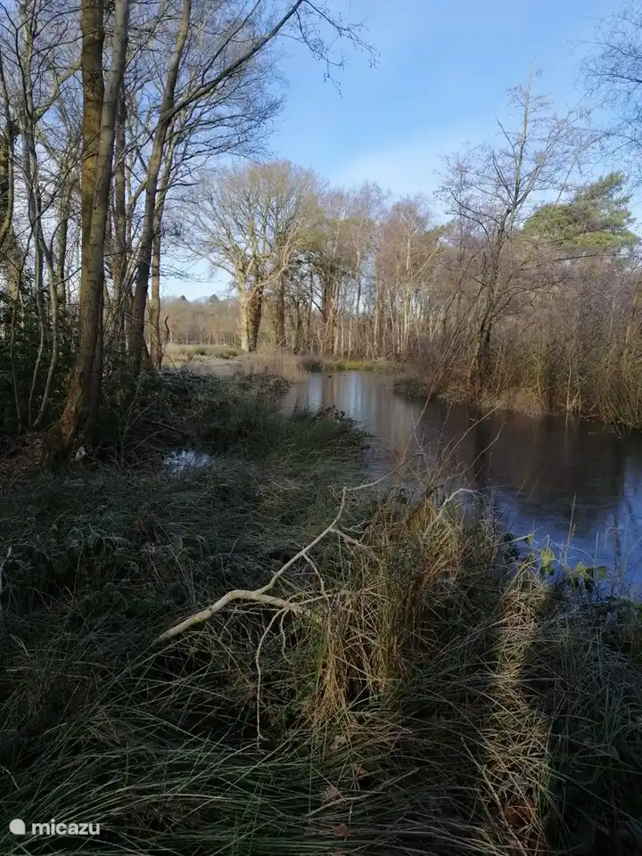 Schillerveen 200 m entfernt