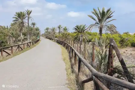 Wandelroute door groot park