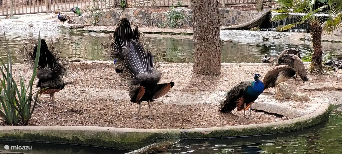 Parc de la reine Sofia