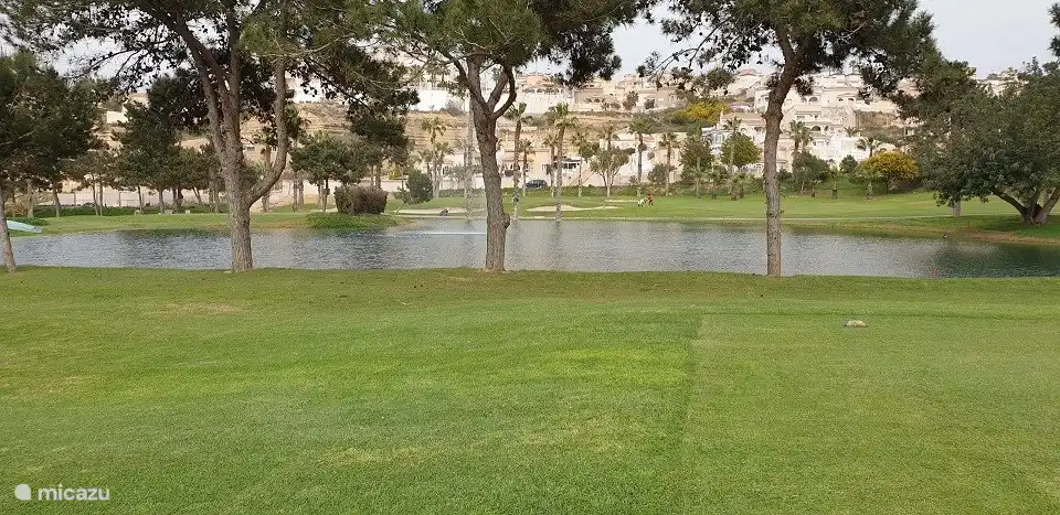 FR Club de Golf La Marquesa.
Plusieurs terrains de golf à une courte distance