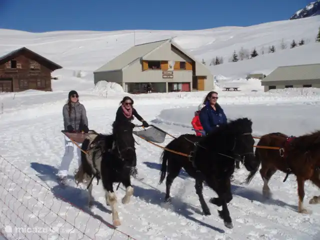 Chalet Clémentine. Pas de frais supplémentaires | France, Isère, Oz-en-Oisans - chalet Alpe d'Huez