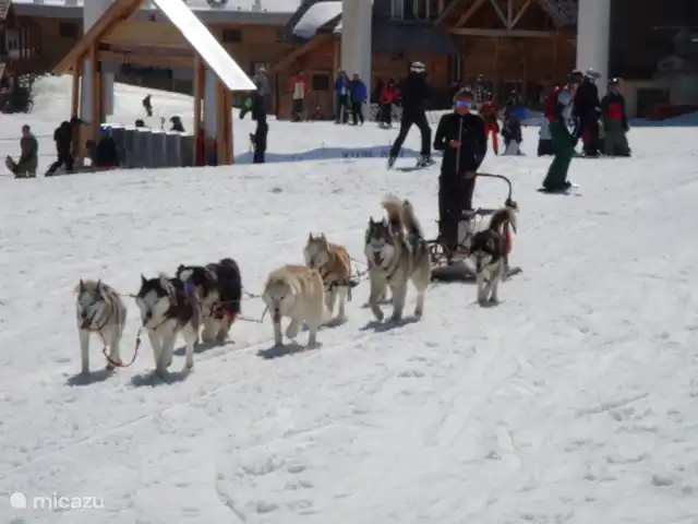 Chalet Clémentine. Pas de frais supplémentaires | France, Isère, Oz-en-Oisans - chalet Huskies