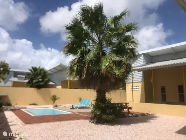 Villa Kolibrie à Julianadorp | Curaçao, Curaçao-Centre, Julianadorp - villa Belle piscine dans le jardin, où vous vous asseyez très intimement