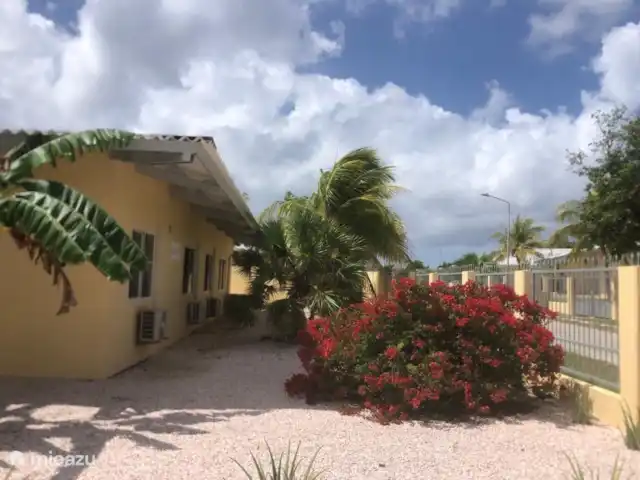 Villa Kolibrie à Julianadorp | Curaçao, Curaçao-Centre, Julianadorp - villa Le côté de la Villa Colibri avec de beaux cocotiers