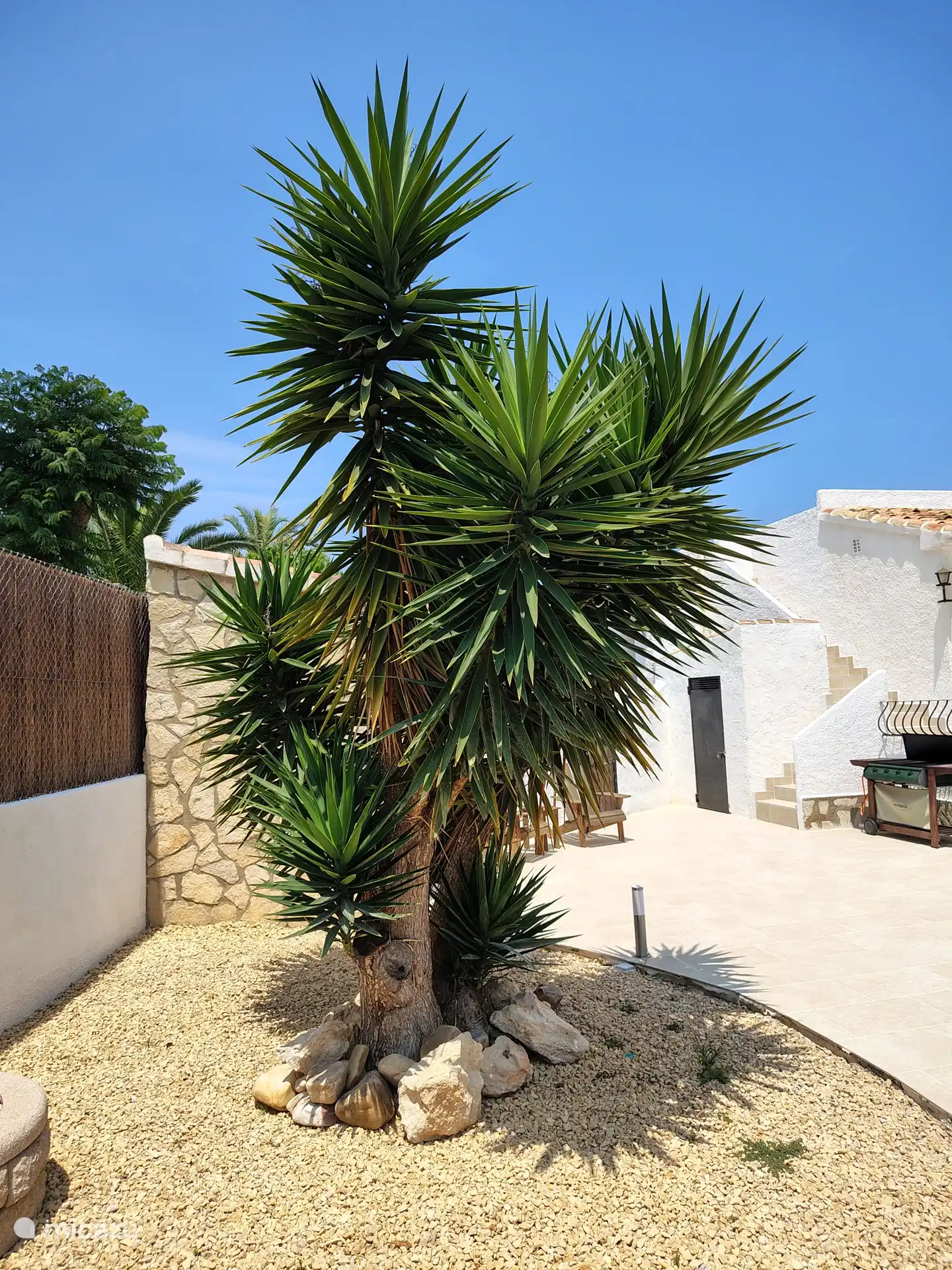 Er is veel zorg besteed aan de tuin