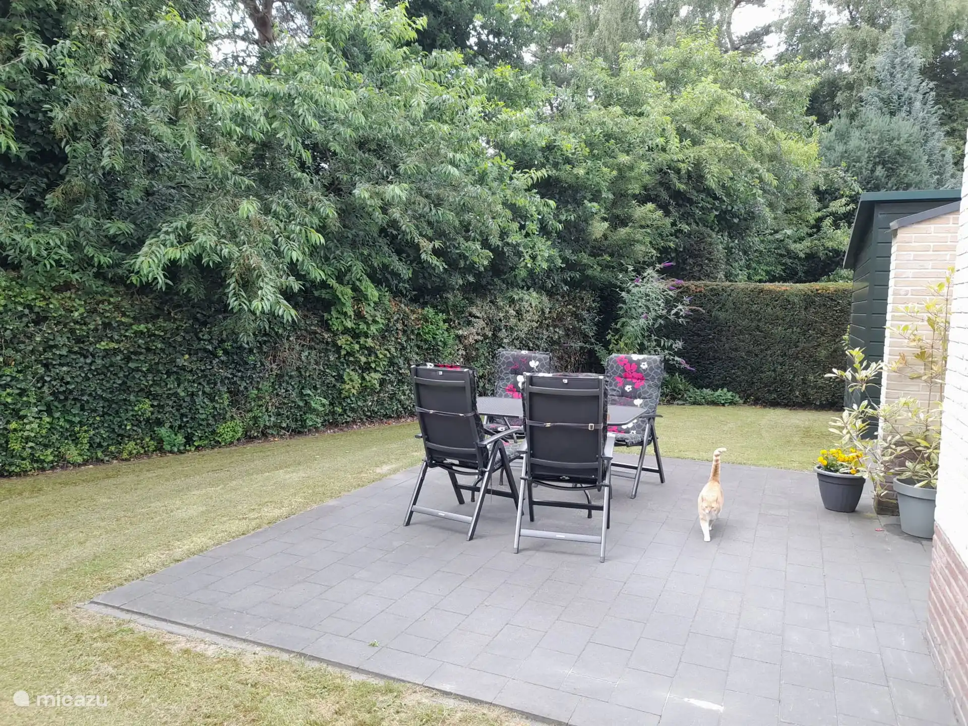 Bungalow 5 has a spacious garden