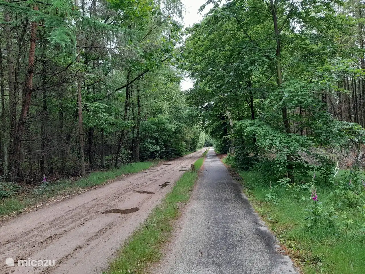Cycle path on the Sterkhuizerweg.